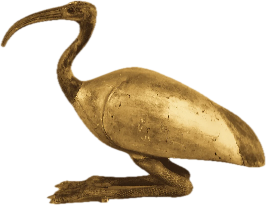 Ibis resting on its legs, gilded wood and bronze, Museo Egizio, Turin